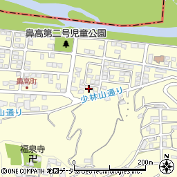 群馬県高崎市鼻高町176周辺の地図