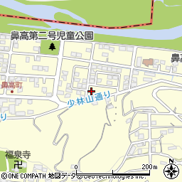 群馬県高崎市鼻高町182-10周辺の地図