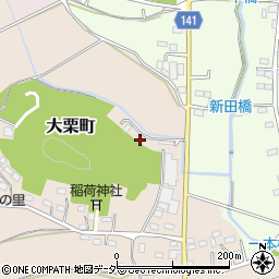 栃木県佐野市大栗町169-2周辺の地図