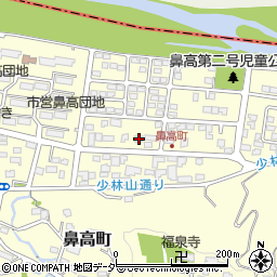 群馬県高崎市鼻高町42-3周辺の地図