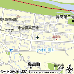 群馬県高崎市鼻高町42-7周辺の地図