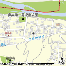 群馬県高崎市鼻高町175周辺の地図