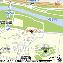 群馬県高崎市鼻高町265周辺の地図