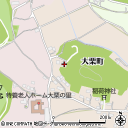 栃木県佐野市大栗町187周辺の地図