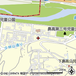 群馬県高崎市鼻高町207周辺の地図