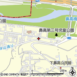 群馬県高崎市鼻高町206-1周辺の地図