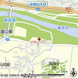 群馬県高崎市鼻高町266周辺の地図