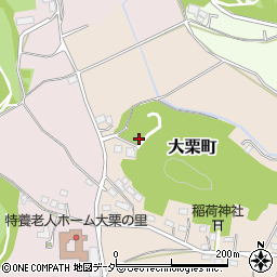 栃木県佐野市大栗町189周辺の地図