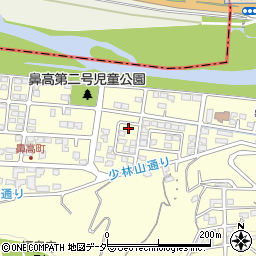 群馬県高崎市鼻高町173周辺の地図