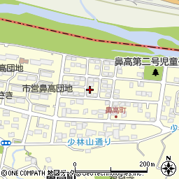 群馬県高崎市鼻高町41周辺の地図