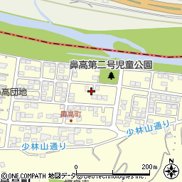 群馬県高崎市鼻高町38周辺の地図