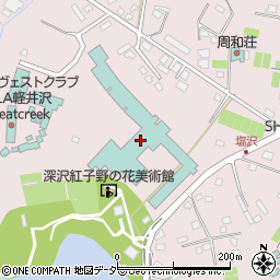 東急ハーヴェストクラブ軽井沢＆ＶＩＡＬＡ周辺の地図