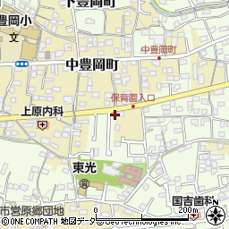 群馬県高崎市下豊岡町105周辺の地図