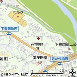 群馬県高崎市下豊岡町875周辺の地図