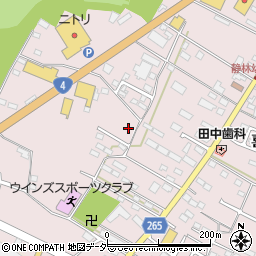 栃木県小山市喜沢1219周辺の地図