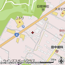 有限会社上野組周辺の地図