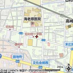 群馬県高崎市昭和町194-2周辺の地図