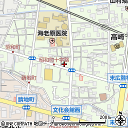 群馬県高崎市昭和町198周辺の地図