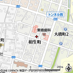 有限会社大沢象雲堂周辺の地図