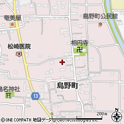 群馬県高崎市島野町602-2周辺の地図