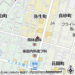 栃木県足利市弥生町31周辺の地図