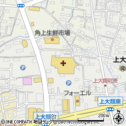 ワン・ラブカインズＦＣ東部　高崎店周辺の地図