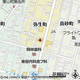 栃木県足利市弥生町33周辺の地図