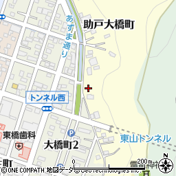 栃木県足利市助戸大橋町1952周辺の地図
