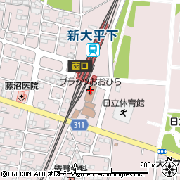 栃木市役所大平総合支所　大平まちづくり交流センタープラッツおおひら周辺の地図