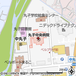 丸子中央病院周辺の地図