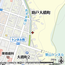 栃木県足利市助戸大橋町1951周辺の地図