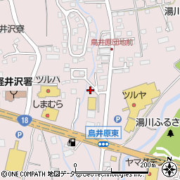 軽井沢中央歯科医院周辺の地図