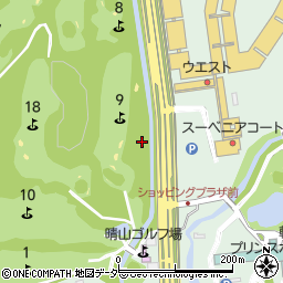 下仁田軽井沢線周辺の地図