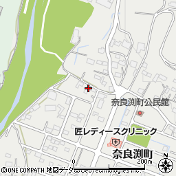 栃木県佐野市奈良渕町314-5周辺の地図