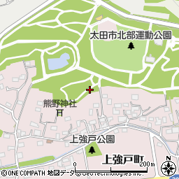 〒373-0074 群馬県太田市上強戸町の地図