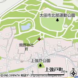 群馬県太田市上強戸町周辺の地図
