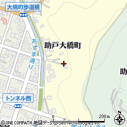 栃木県足利市助戸大橋町1875周辺の地図