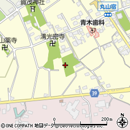 丸山広場公園周辺の地図