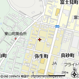 栃木県足利市弥生町49周辺の地図