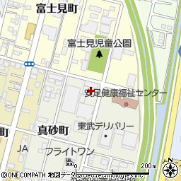 栃木県足利市真砂町48周辺の地図