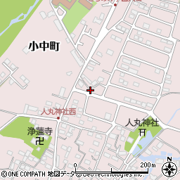 栃木県佐野市小中町2012周辺の地図
