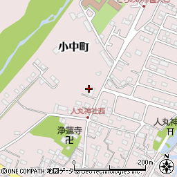 栃木県佐野市小中町1317周辺の地図