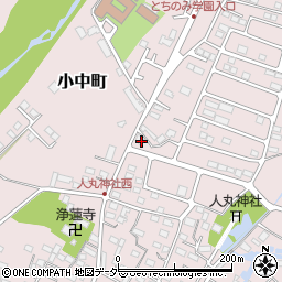 栃木県佐野市小中町1287周辺の地図