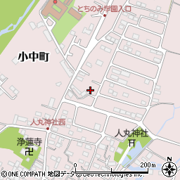 栃木県佐野市小中町2011-4周辺の地図