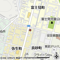栃木県足利市弥生町13周辺の地図