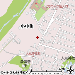 栃木県佐野市小中町1285-5周辺の地図