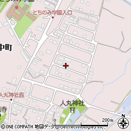 栃木県佐野市小中町2007周辺の地図