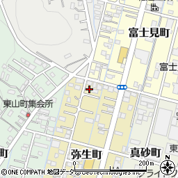 栃木県足利市弥生町47周辺の地図