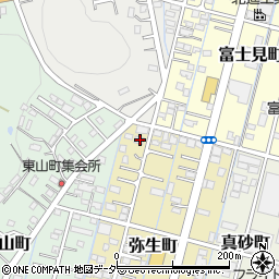 栃木県足利市弥生町67周辺の地図
