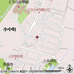 栃木県佐野市小中町2010周辺の地図